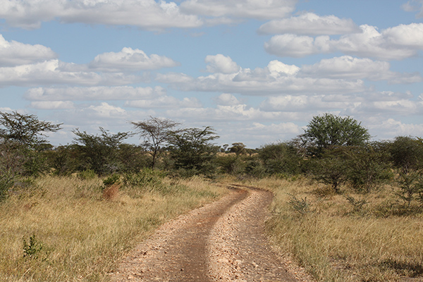 Best of Tanzania - Tarangire National Park
