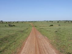 Best of Tanzania - Serengeti Landschaft