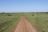 Best of Tanzania - Serengeti Landschaft