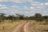 Best of Tanzania - Tarangire National Park