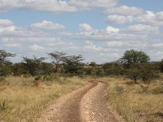 Best of Tanzania - Tarangire National Park