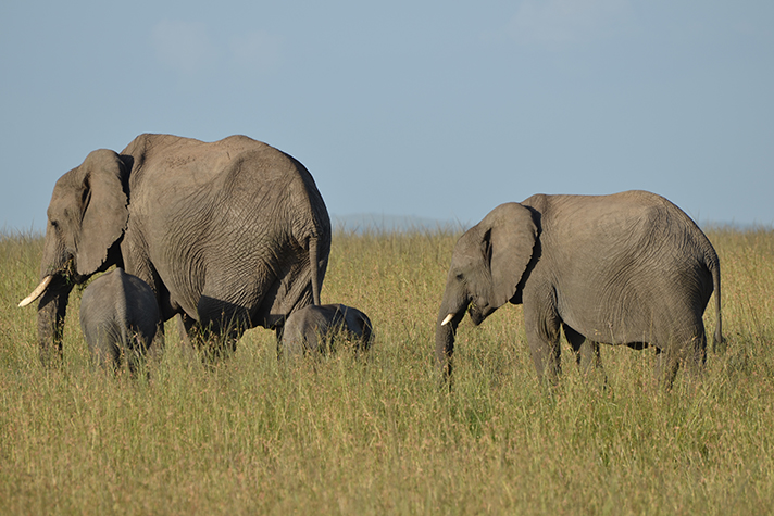 East Africa Adventure