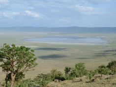 East Africa Adventure, Ngorongorol Krater