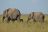 East Africa Adventure