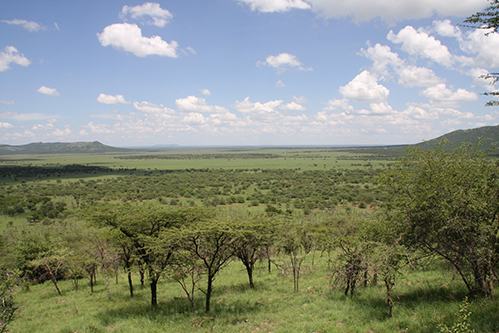 Nord-Tanzania Express - Serengeti National Park