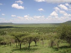 Nord-Tanzania Express - Serengeti National Park