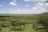 Nord-Tanzania Express - Serengeti National Park