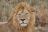 Nord-Tanzania Express - Serengeti National Park