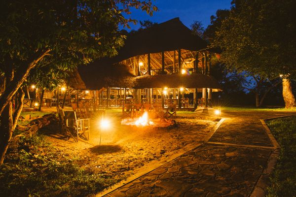 Flugsafari Nyerere National Park