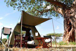Mobile Explorer Camp