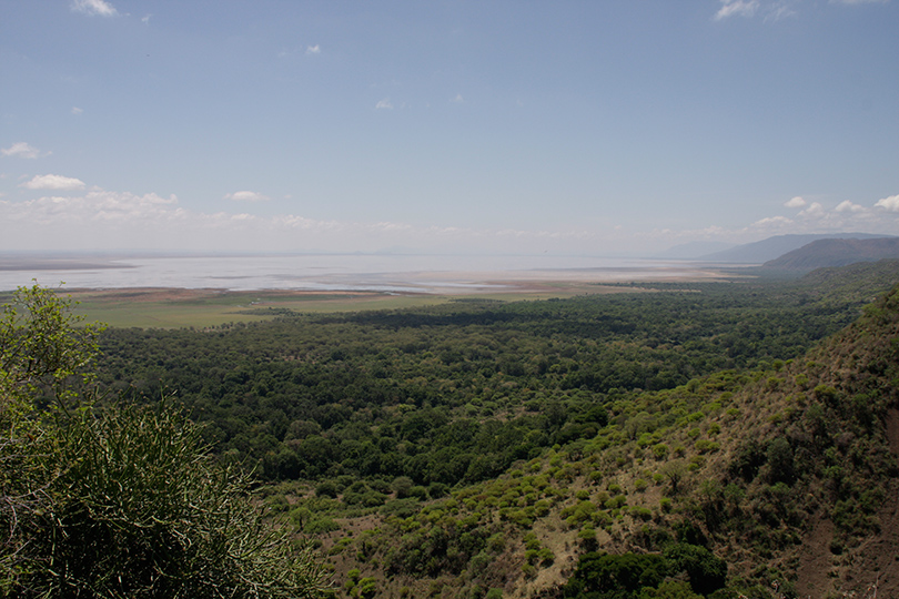 Ruf der Wildnis - Aussicht auf den Lake Manyara
