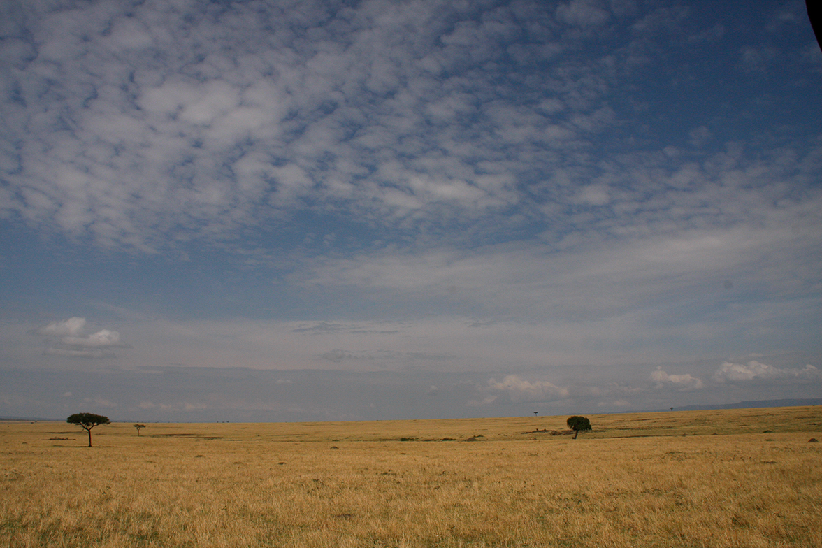 Ruf der Wildnis - Die Weite der Serengeti