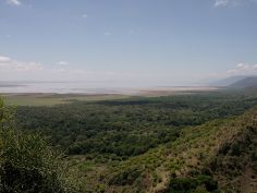 Ruf der Wildnis - Aussicht auf den Lake Manyara
