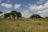 Ruf der Wildnis - Tarangire National Park