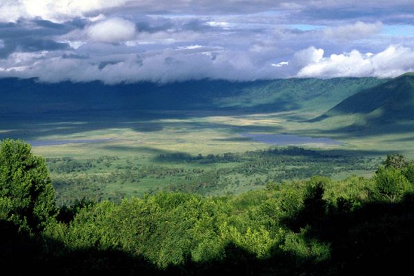 Tanzania Explorer