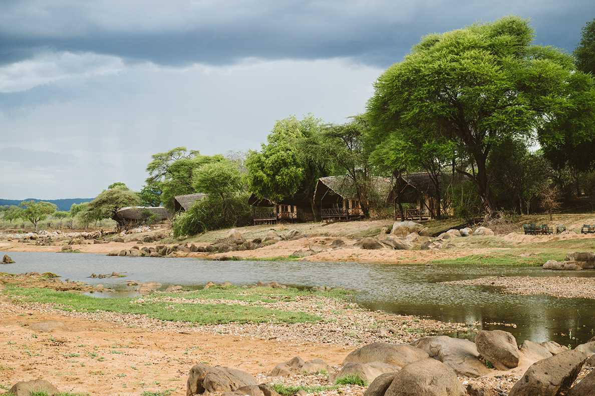Ruaha River Lodge