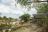 Ruaha River Lodge