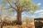 Ruaha River Lodge