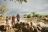 Ruaha River Lodge