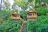 Buhoma Lodge