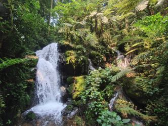 Buhoma Lodge - Wasserfall im Bwindi Impenetrable Forest Buhoma Lodge - Wasserfall im Bwindi Impenetrable Forest