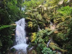 Buhoma Lodge - Wasserfall im Bwindi Impenetrable Forest
