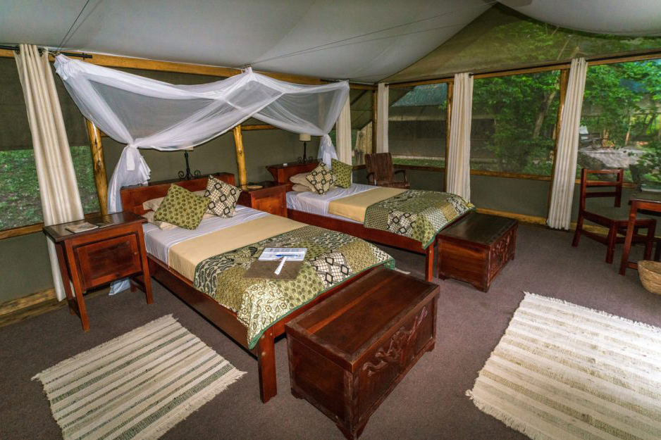 Ishasha Wilderness Camp