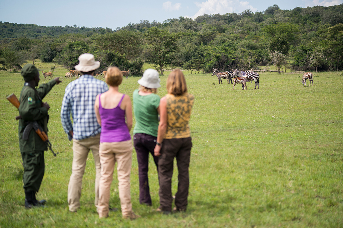 Mihingo Lodge - Walking Safari