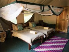 Murchison River Lodge - Zelt Zimmer