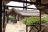 Mweya Safari Lodge - Zelt-Zimmer