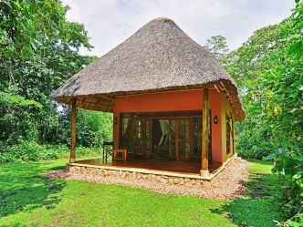 Primate Lodge - Beispiel Standard Cottage Primate Lodge - Beispiel Standard Cottage
