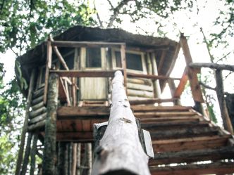 Primate Lodge - Treehouse Primate Lodge - Treehouse
