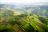 Sanctuary Gorilla Forest Camp - Landschaft