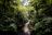 Sanctuary Gorilla Forest Camp - Walk
