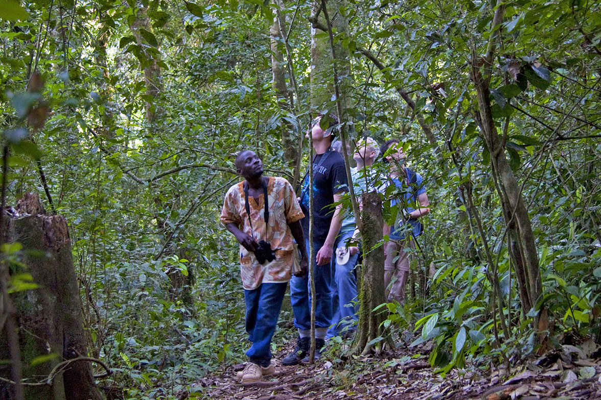 Turaco Treetops, Kibale National Park