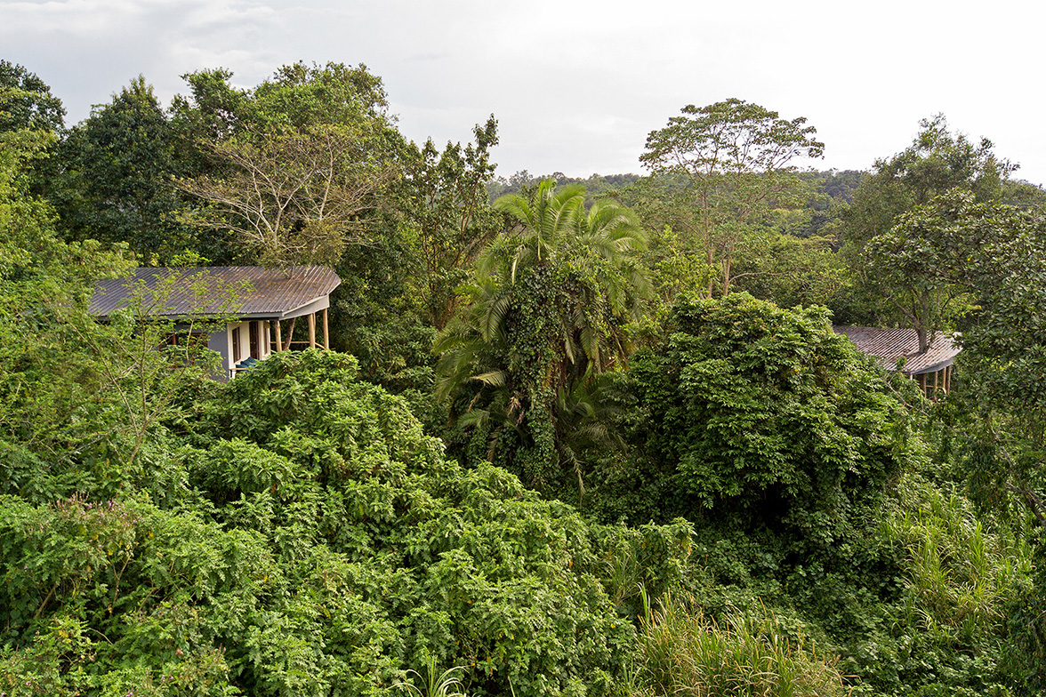 Turaco Treetops, Kibale National Park