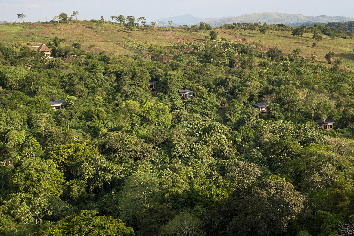 Turaco Treetops, Kibale National Park