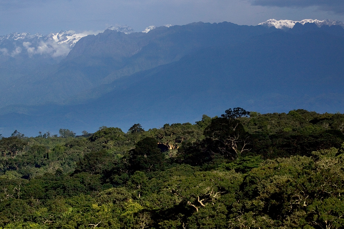 Turaco Treetops, Kibale National Park