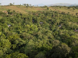 Turaco Treetops, Kibale National Park Turaco Treetops, Kibale National Park