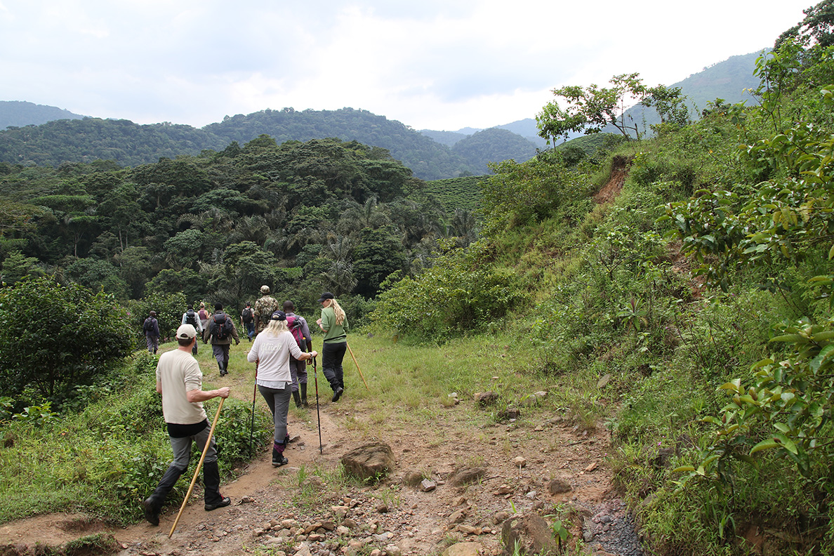 Bwindi Impenetrable Forest - Während der Wanderung
