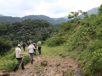 Bwindi Impenetrable Forest - Während der Wanderung Bwindi Impenetrable Forest - Während der Wanderung