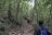 Kibale National Park - Schimpansen-Trek Kibale National Park - Schimpansen-Trek
