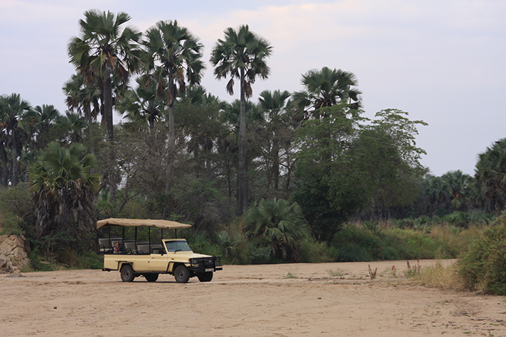 Kidepo Valley National Park - Pirschfahrt