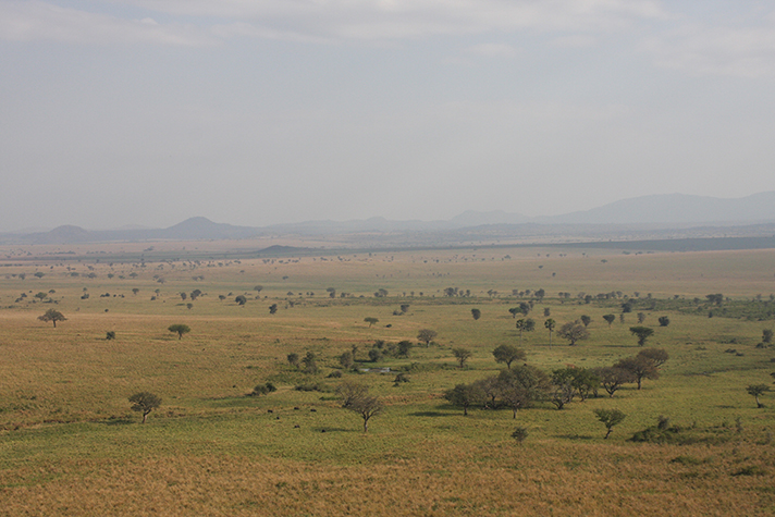 Kidepo Valley National Park - endlose Weite