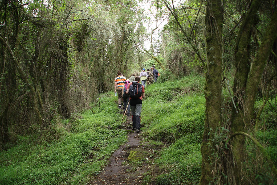 Mgahinga Gorilla National Park