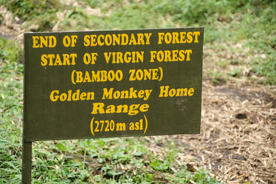 Mgahinga Gorilla National Park
