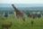 Murchison Falls National Park Murchison Falls National Park