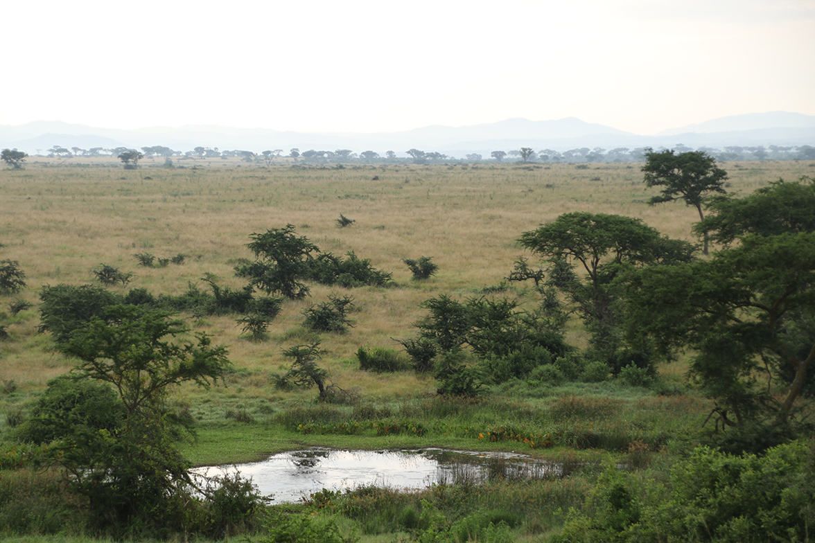 Queen Elizabeth National Park
