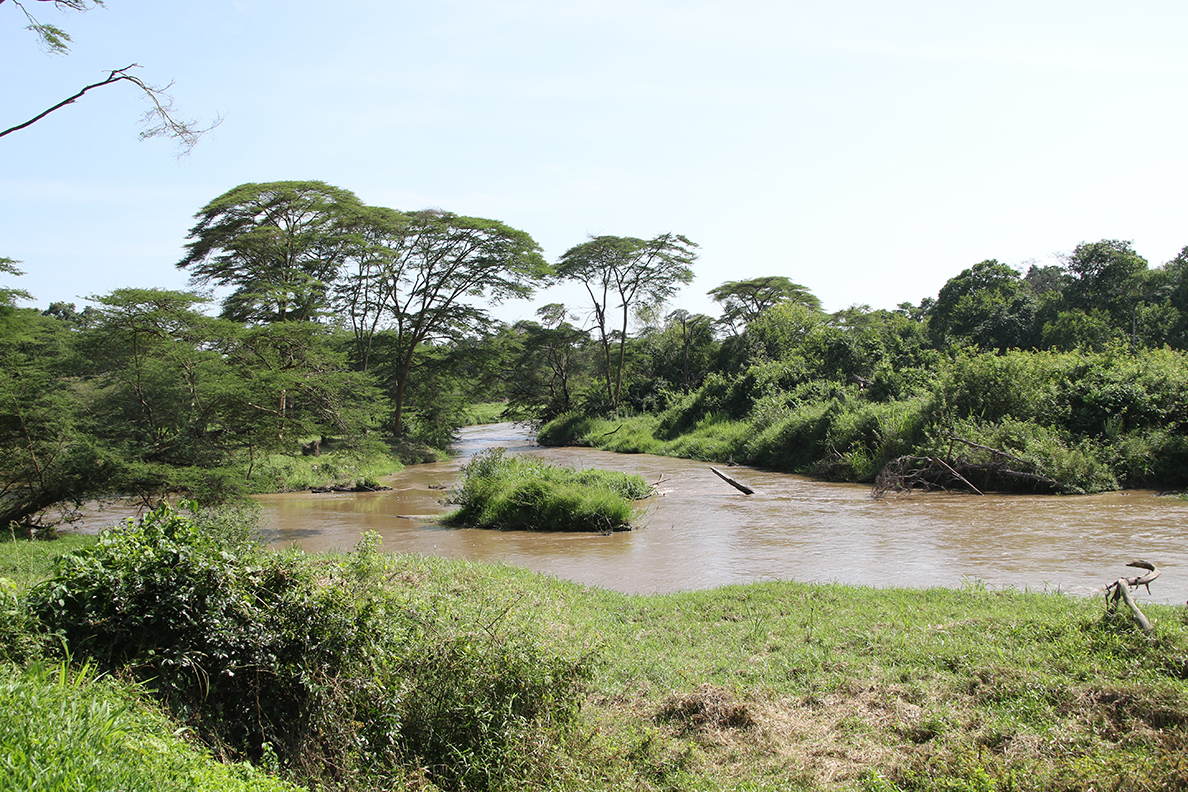 Queen Elizabeth National Park - Ishasha Sektor