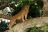 Queen Elizabeth National Park